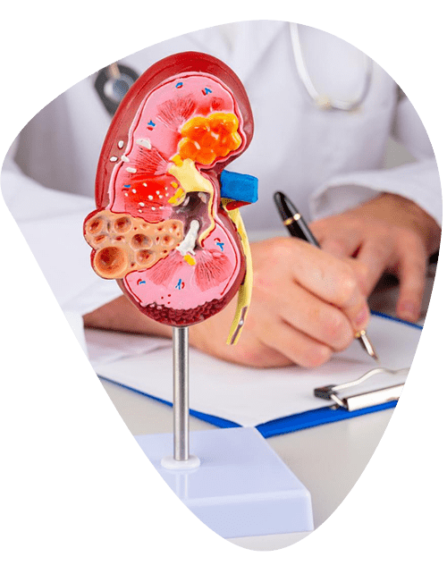 busco-un-medico-nefrologo.png